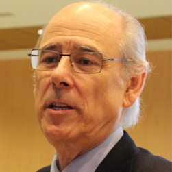Dr. Antonio Pablo Martínez Barseló